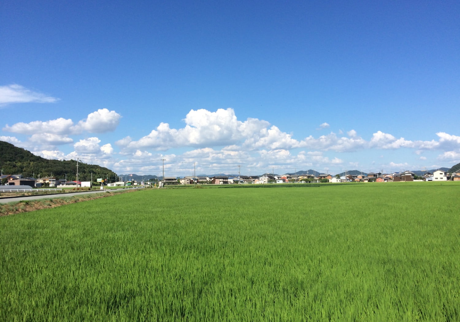 田んぼと住宅街