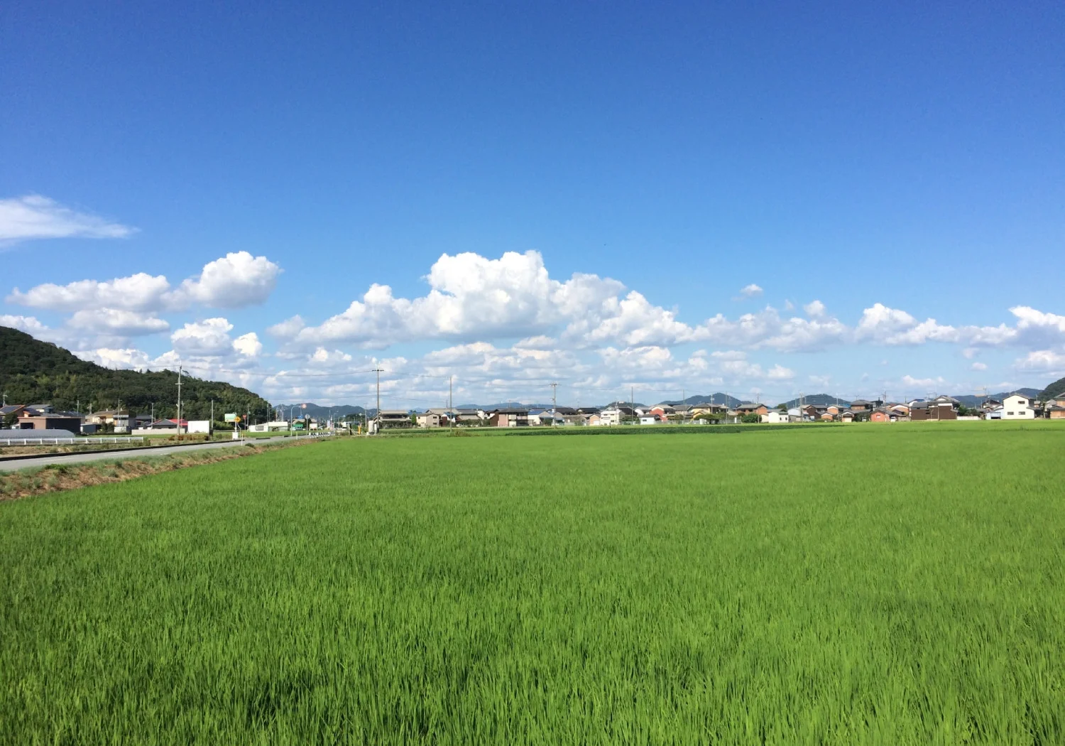田んぼと住宅街