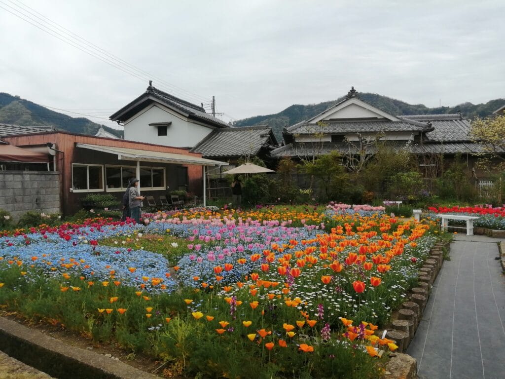 ちづちゃんの花園1