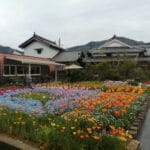 ちづちゃんの花園1