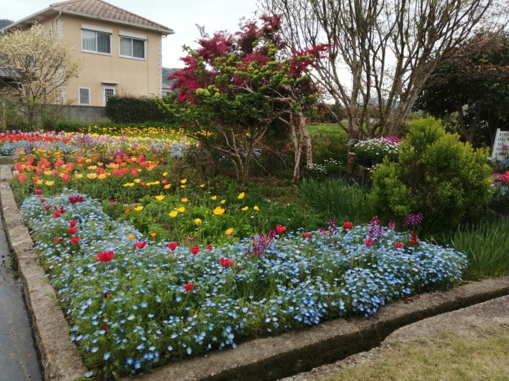 ちづちゃんの花園2