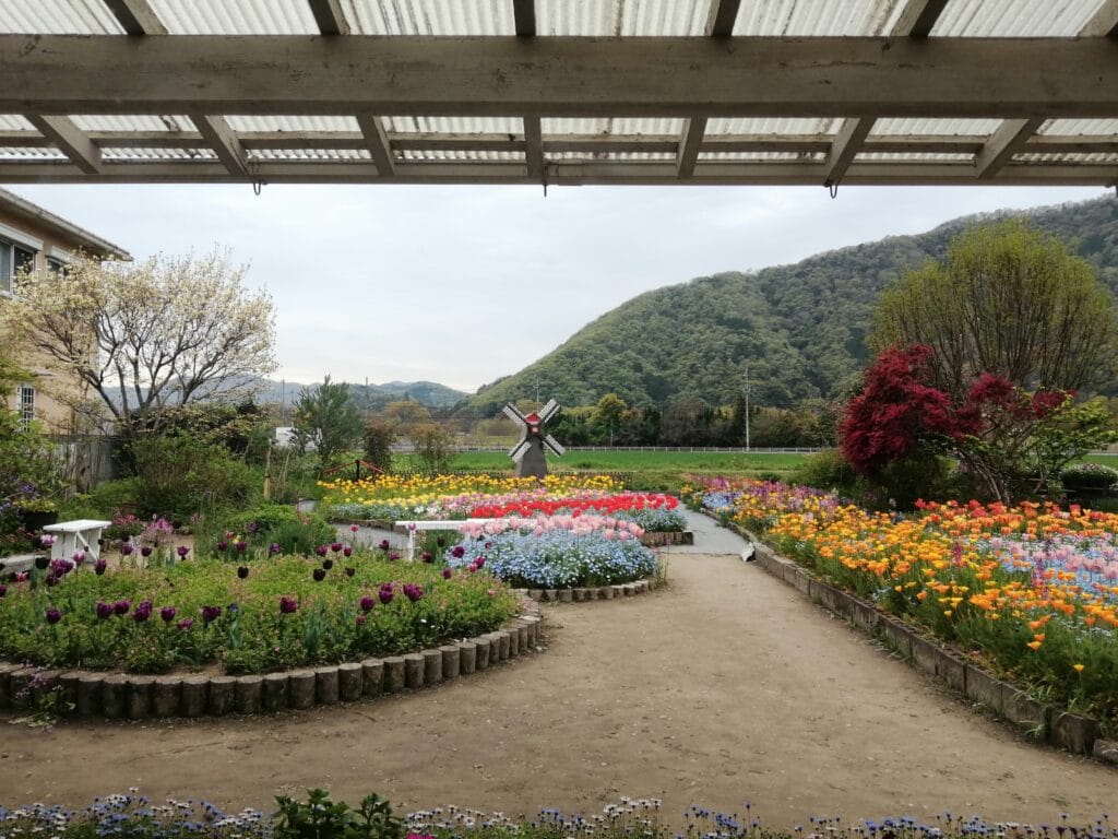 ちづちゃんの花園4